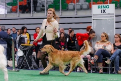 b4eac392420ddc9517fbccddaa362f08_246