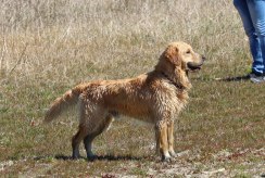 b4ec1a21b162092d6442ac943d43f0b5_244