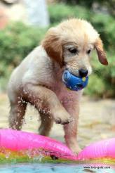 b4ec46129dc3db5b76ae840bb473725a_164x246_fill