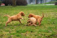 b4fa2ee79a5d92dacdd94a1a34ade0d7_195x130_fill