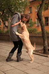 b557b609c79716a717dedf4dc386b187_164x246_fill