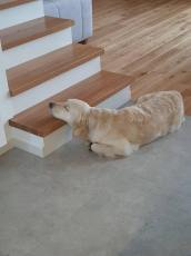 b5d0a5b25d717ed91bcee8caa67837ba_172x230