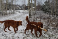 b5f2406d4f63eacecfbb60640ba557fd_195