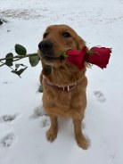 b5f275d007d21683079cb3d4e3e94c1d_138x184