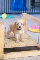 b61bf48812b1f14f75855ed45b278a1d_130x195_fill