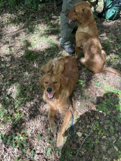 b67e231cfbb45178bc7bc0d8485d90df_174x232