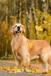 b6839c91eeb39583cf121bbd3dbe8765_164x245