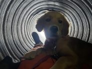 b68e192bf9e49a0fbc874a8d4f6a1798_184x138_fill