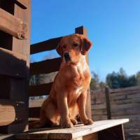 b6aeac8f8d44ff49e951a5fbe6781575_200x200