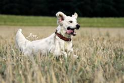 b6b0eb568dcbbf5c7eb3d58866976f27_245