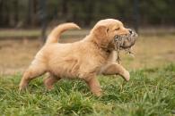 b6ea88473685cef6ec383950a42e43f1_195x130_fill