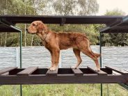 b6ed673ceb3487c8f2cd1cfb48a9d053_184x138_fill