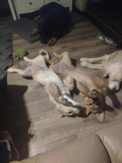 b6f40b5fc3f1bfc43d017626b7692d8d_174x232_fill