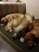 b6f4dce5b24f5d436f45ed04ebb767c1_138x184_fill