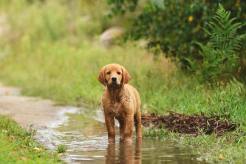 b6fe583f8adefa3bd5e269c7d04caf69_246