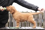 b7525961ea5c1088224d68b4bebfee9b_195x130_fill