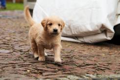 b760ef4ba70d0e7bcc7c6819768994b4_245