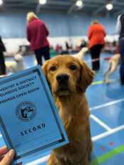 b77f065d97df45b267c0916fc5eb1717_174x232_fill