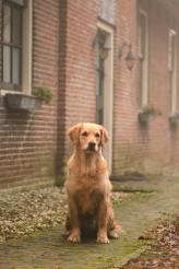 b79eca619b432f0286937454c419c7b2_164x246