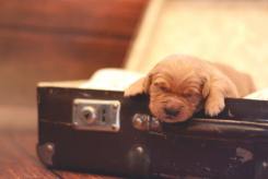 b7ccaaf91cc860b3d5bc12648df82a8f_245