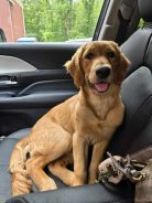 b7f7c16e75af6ec0b97388586694872b_138x184_fill