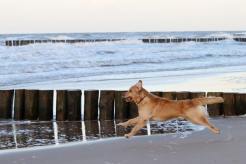 b8601942801908a24091bc6b223e14f0_246