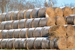 b86770d5e3615071736089e62571f680_246x164_fill