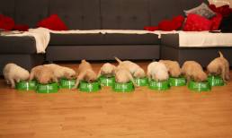 b87c93430184db067dd75c6d576e87b2_258