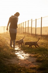 b88a68cd7dd24fa09a961218287c9f30_164x246