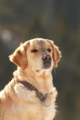 b8ded85d29a6b1121bcad36d0d508a31_164x246