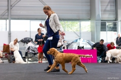 b8e170f5e0dfa18fddffa9d5985e355b_246