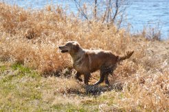 b8ec5ff43c711ca8464a7f04116f6224_246