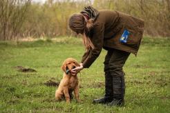 b919db17fea069e3f92b861afab26465_246x164_fill