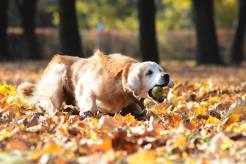 b9559389046d6f6667a75630db9328d8_246x164_fill