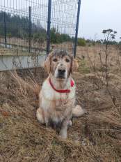 b9a65afdf87a7f63be5216b80d519f6e_174x232_fill