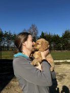 b9ad46ec9c23c23cd4696c987eaba284_138x184_fill