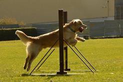 b9b3b79164e205746108830879adaf70_246x164_fill