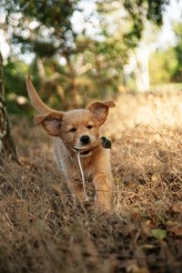 b9ce61b45638bc365170439ad235783e_164x246