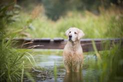 b9fd33e38b6ed07d4dbb8aa888f759af_246