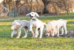 ba107a22a0f73075d0d33997d9dcc1ba_245