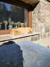 ba442621e1261791d2d16522356aca1f_174x232_fill