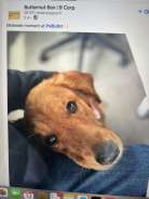 ba4b13ba09d137c2248faa8945d3267a_138x184_fill