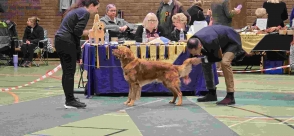 ba5cc86874c5953e20c5494705fbf8f7_294