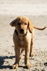 ba9859b714caa9053e937ce67d92c9e5_164x246