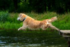 babfb23b778cc5379addcbfcec63a3c7_245