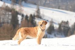 bad593c7a58658b6a05514c9e25e0d76_246