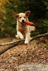 baf6fa0200eead3f27ddd6079f5acccd_164x245