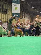 bafea255fec0d48ccb949e62d20397ce_174x232_fill