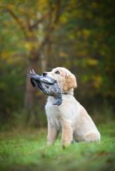 bb058896a76924c1bed9c425c4e8bfb4_164x245