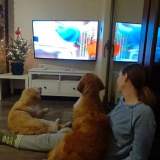 bb1068332d7274306fa72983c4582589_160x160